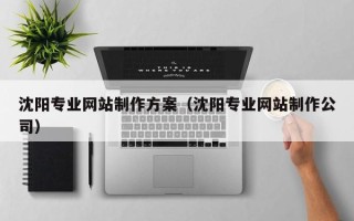 临海沈阳专业网站制作方案（沈阳专业网站制作公司）
